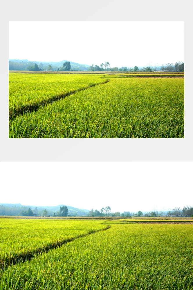 乡村田野风光高清图片 (275)