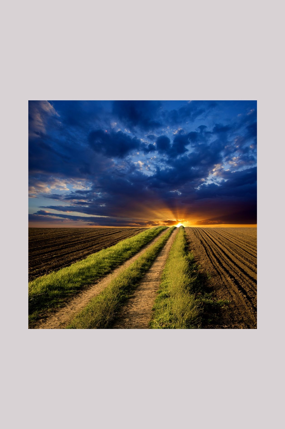 乡村田野风光高清图片 (33)