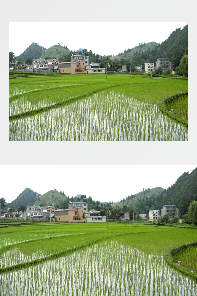 乡村田野风光高清图片