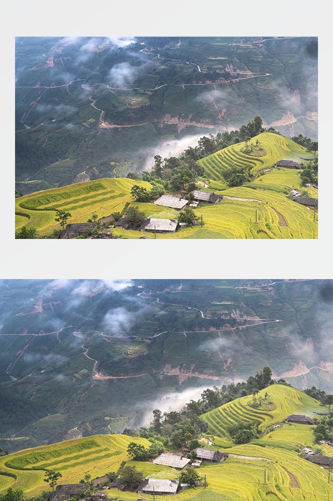 高清自然风景摄影图片稻田稻穗水稻田园风光设计素材