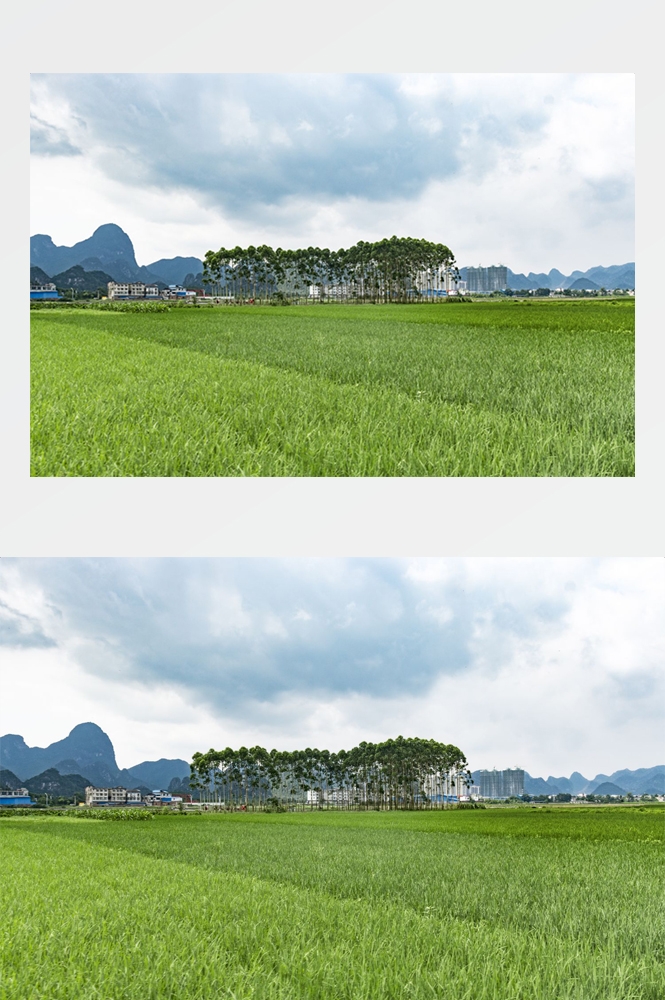 乡村田野风光高清图片