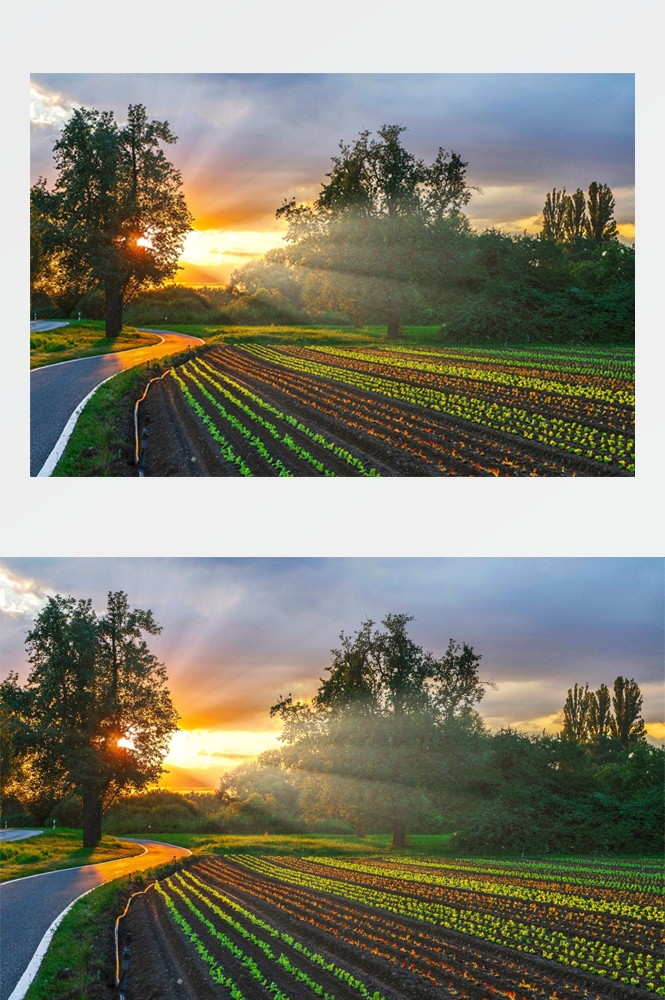 乡村田野风光高清图片 (248)