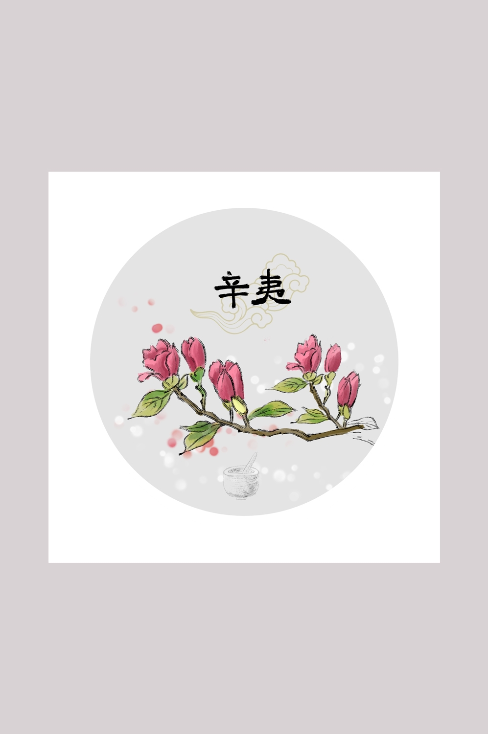 中国传统中医挂画中草药图集插画海报展板辛夷37