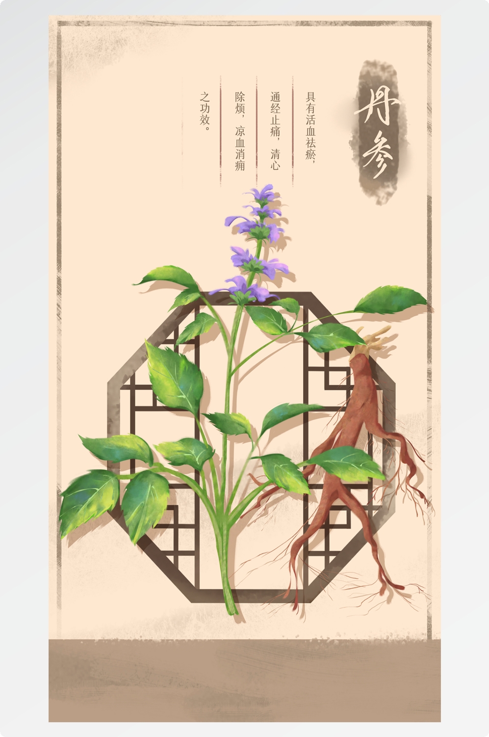 中国传统中医挂画中草药图集插画素材丹参1