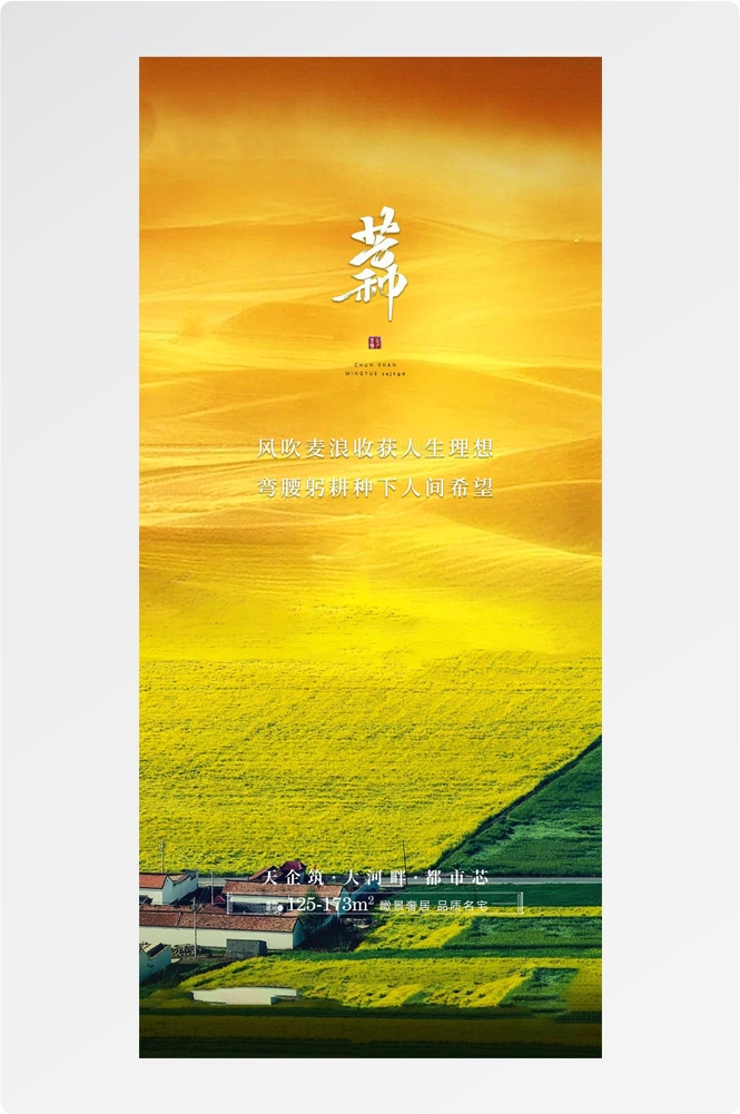 二十四24节气芒种小麦风景海报 (16)