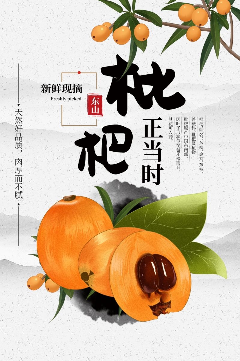 新鲜枇杷海报展板背景促销宣传素材 (11)