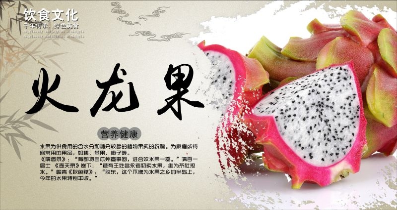 新鲜火龙果海报展板背景促销宣传素材 (9)
