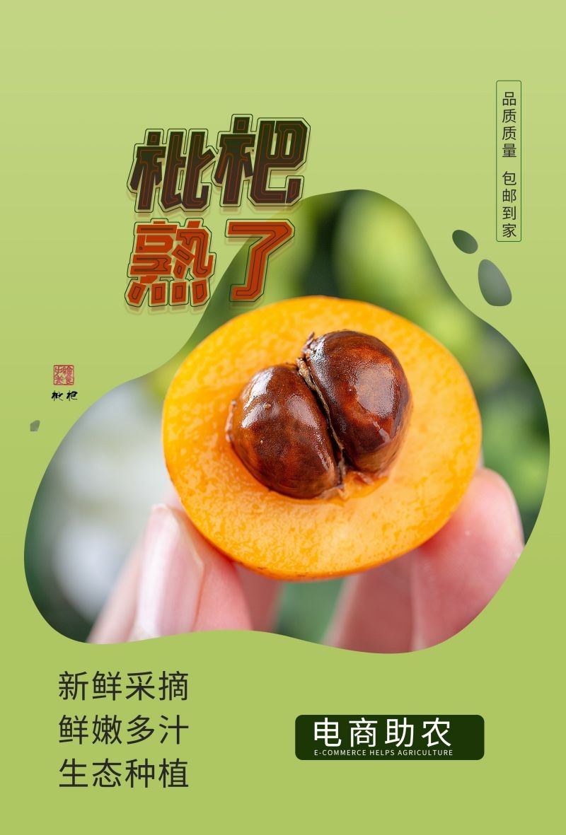 新鲜枇杷海报展板背景促销宣传素材 (14)