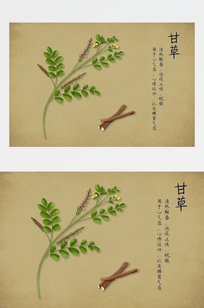 中国传统中医挂画中草药图集插画海报展板 (11)