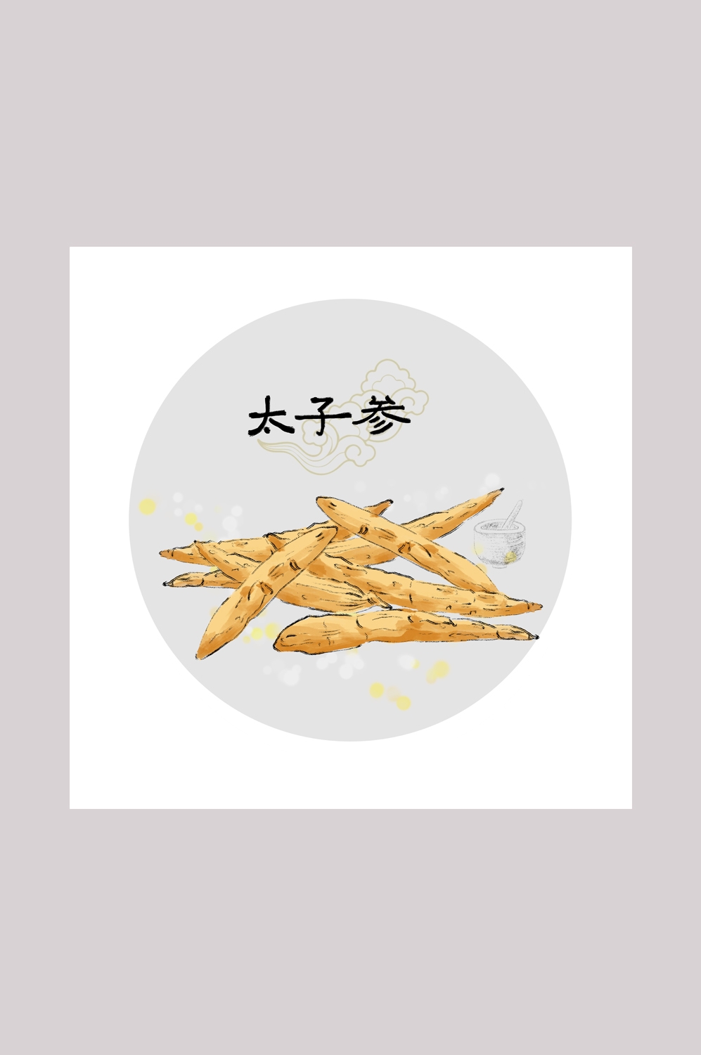 中国传统中医挂画中草药图集插画海报展板太子参14