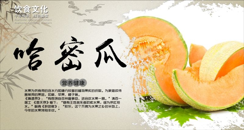 新鲜哈密瓜海报展板背景促销宣传素材 (7)