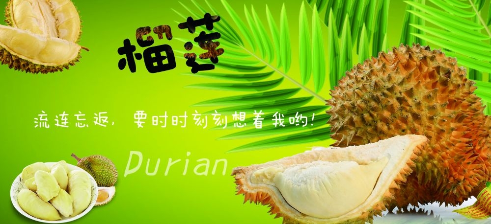 海报背景榴莲肉榴莲促销宣传单广告设计素材 (29)