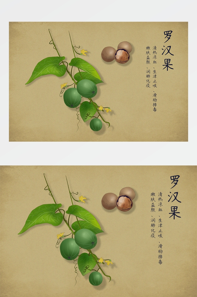 中国传统中医挂画中草药图集插画海报展板 (21)