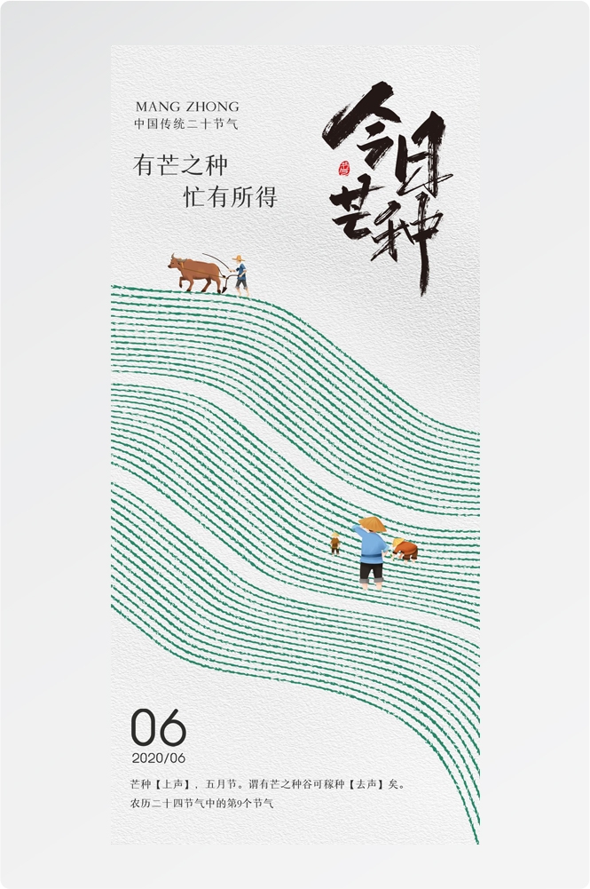 二十四24节气小麦芒种海报宣传插画 (7)