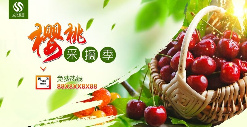新鲜的樱桃促销宣传单海报展板背景广告设计素材 (29)