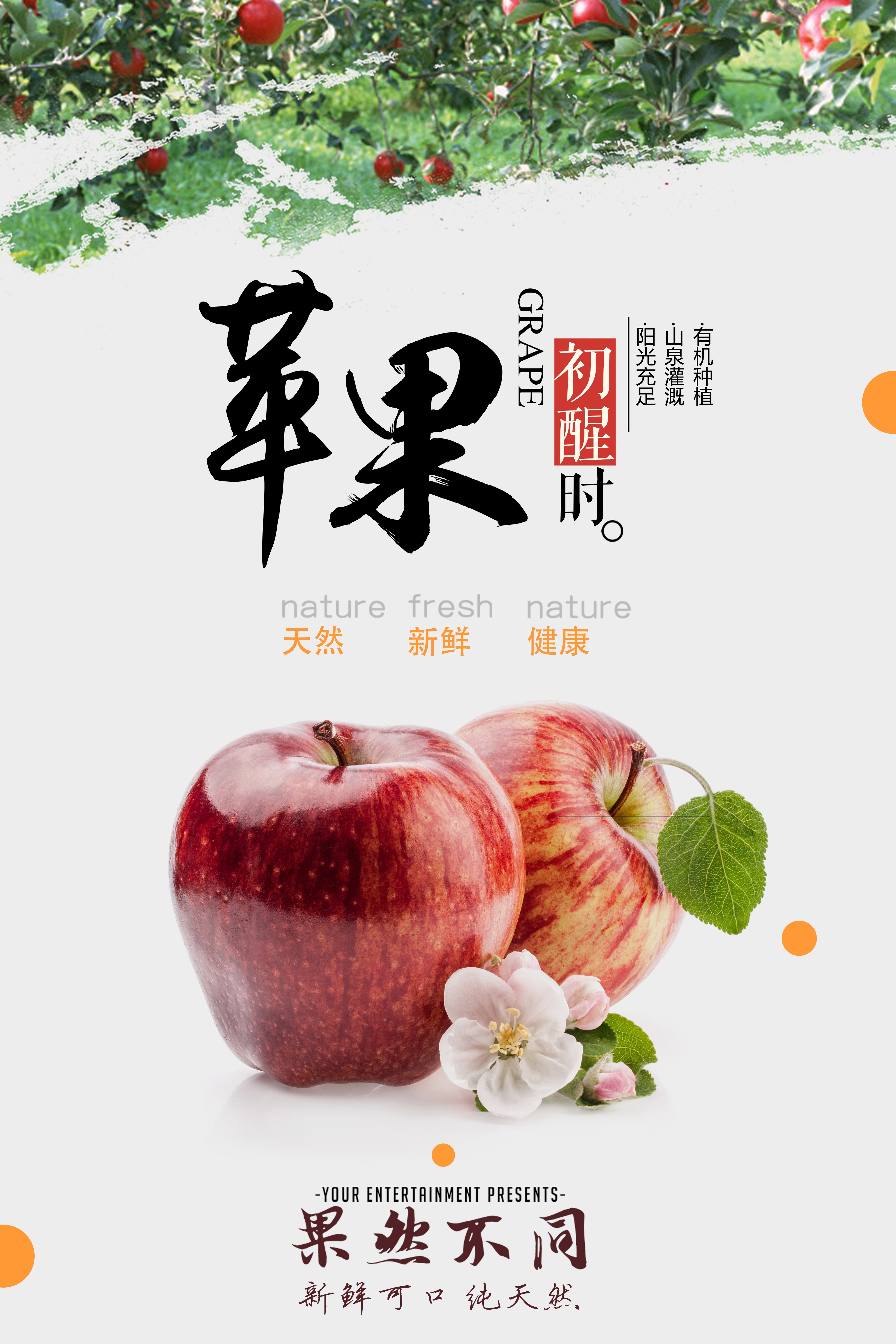 海报背景新鲜的苹果水果促销宣传单广告设计素材 (1)