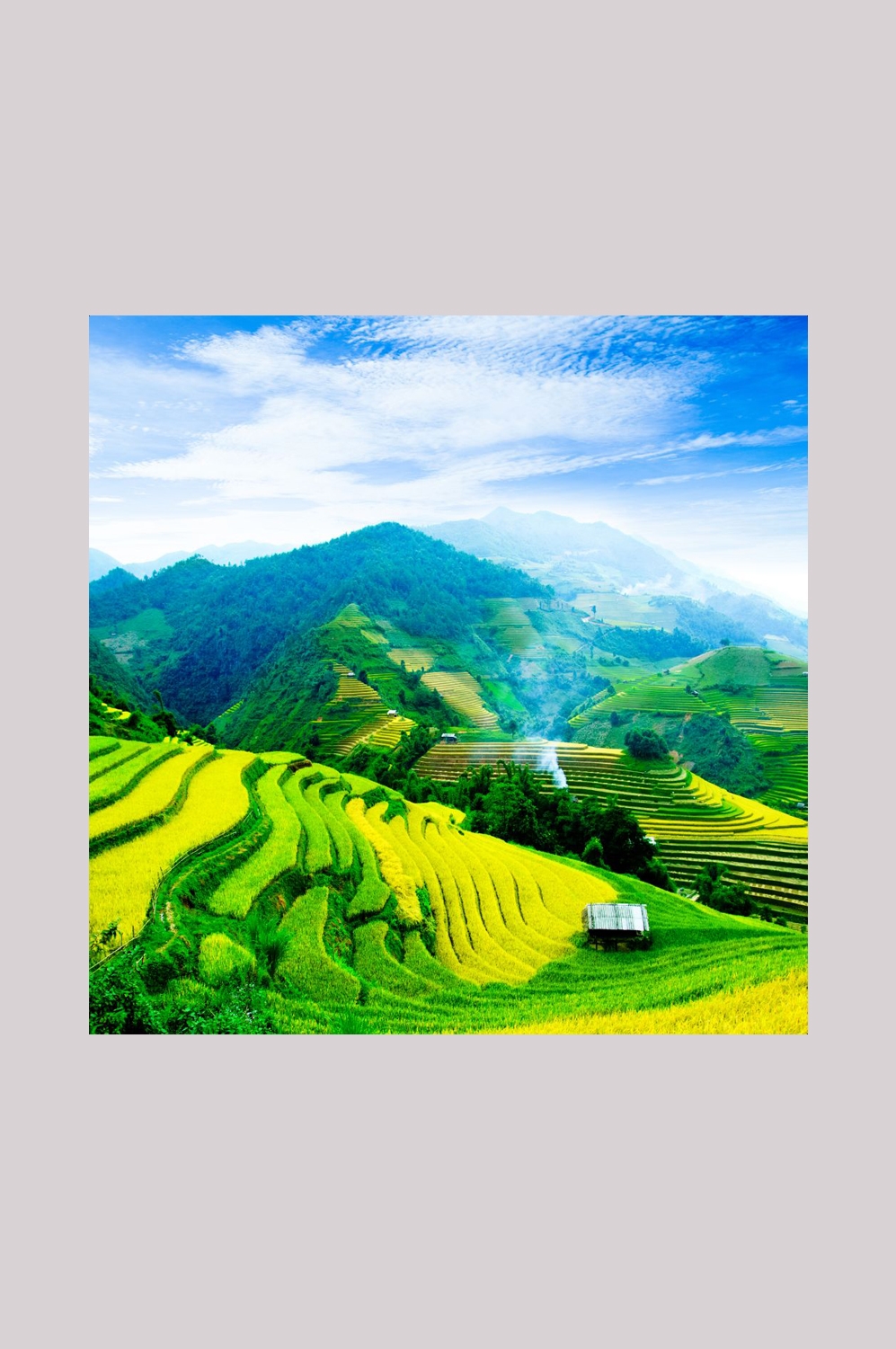 梯田农田田野高清图片51