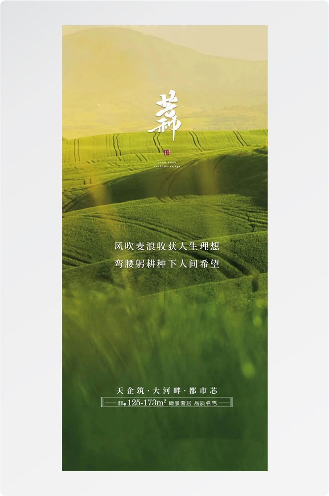 二十四24节气芒种小麦风景海报 (20)
