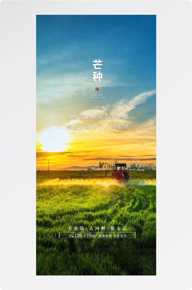 二十四24节气芒种小麦风景海报 (19)
