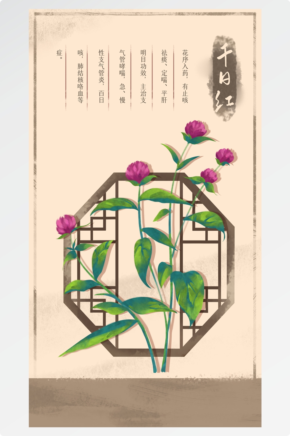 中国传统中医挂画中草药图集插画素材千日红3