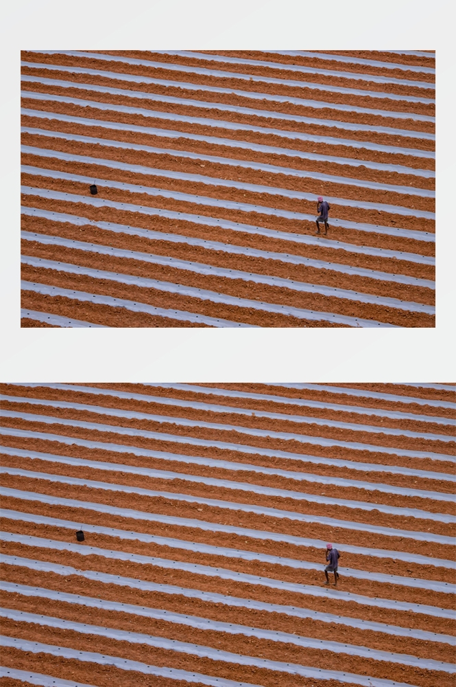 农业生产插秧收割农活高清图片 (86)