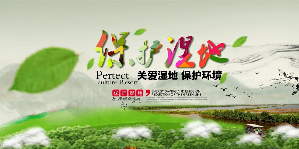 湿地日保护湿地环保促销宣传单广告设计素材
