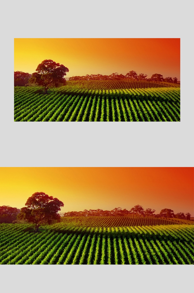 农田耕田田野高清图片65