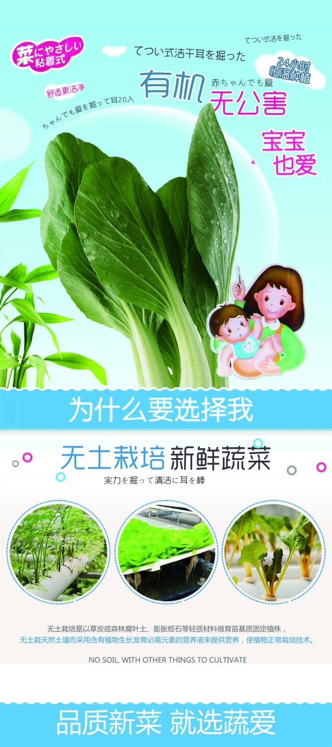水果蔬菜饮料海报展架易拉宝设计素材 (33)