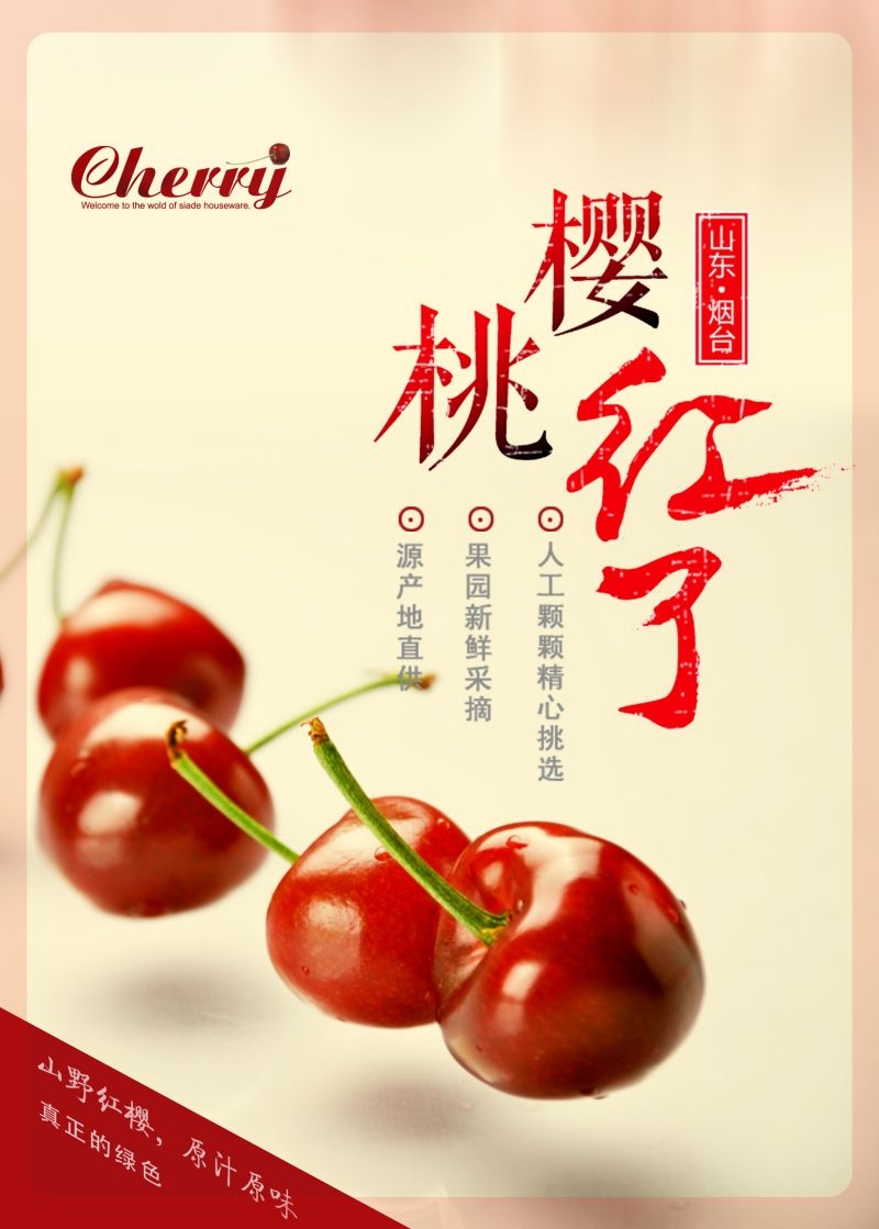 新鲜的樱桃促销宣传单海报展板背景广告设计素材 (17)
