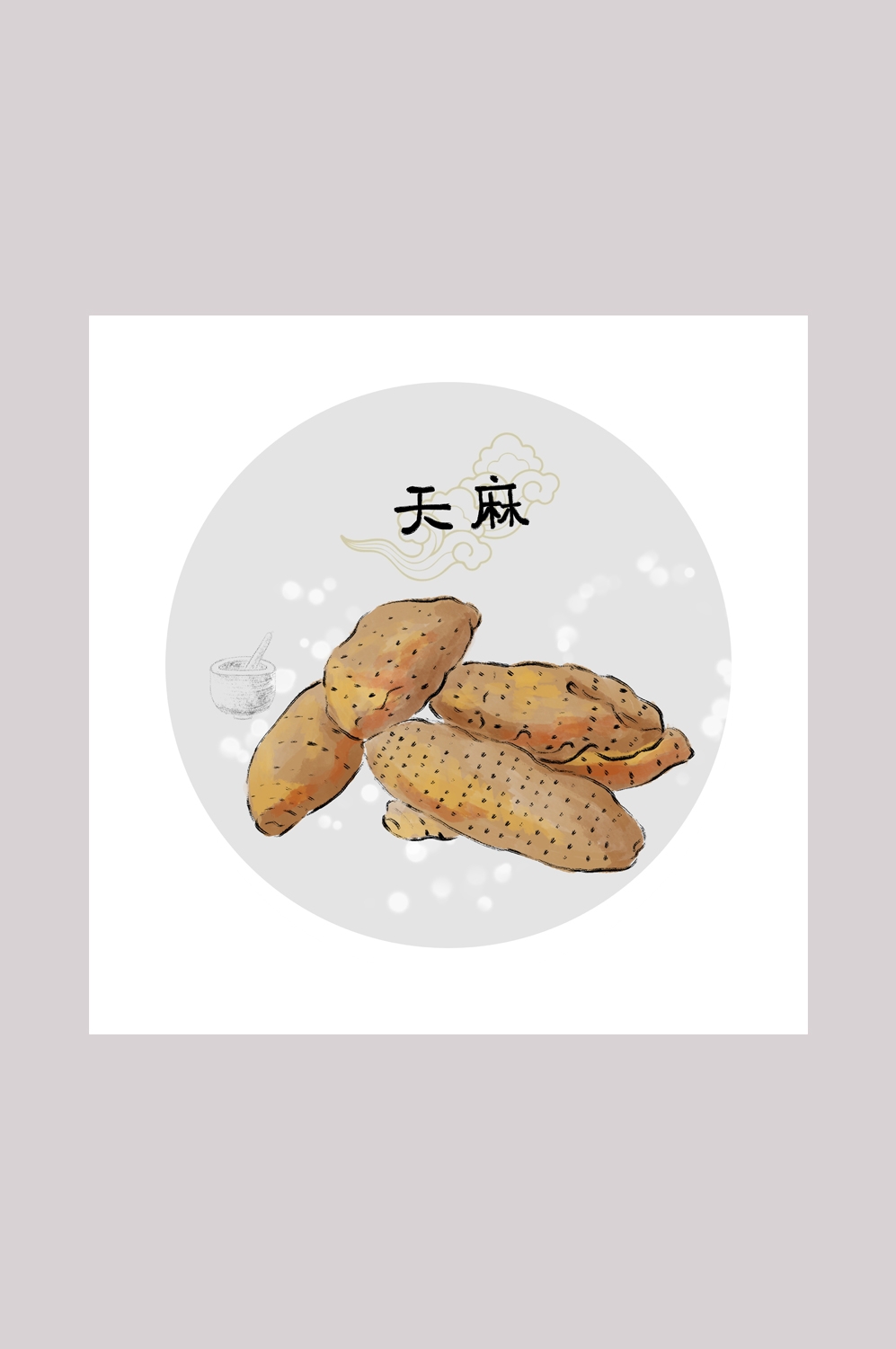 中国传统中医挂画中草药图集插画海报展板天麻13