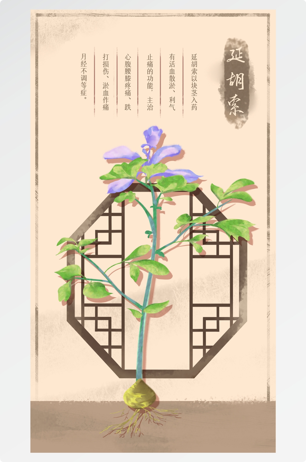 中国传统中医挂画中草药图集插画素材延胡索5