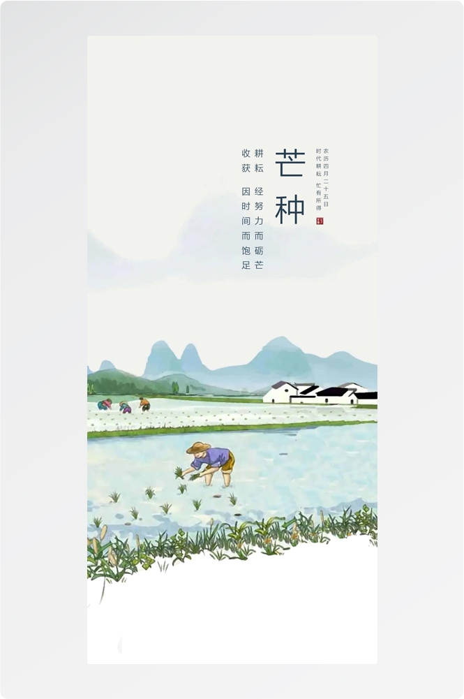二十四24节气小麦芒种海报宣传插画 (11)