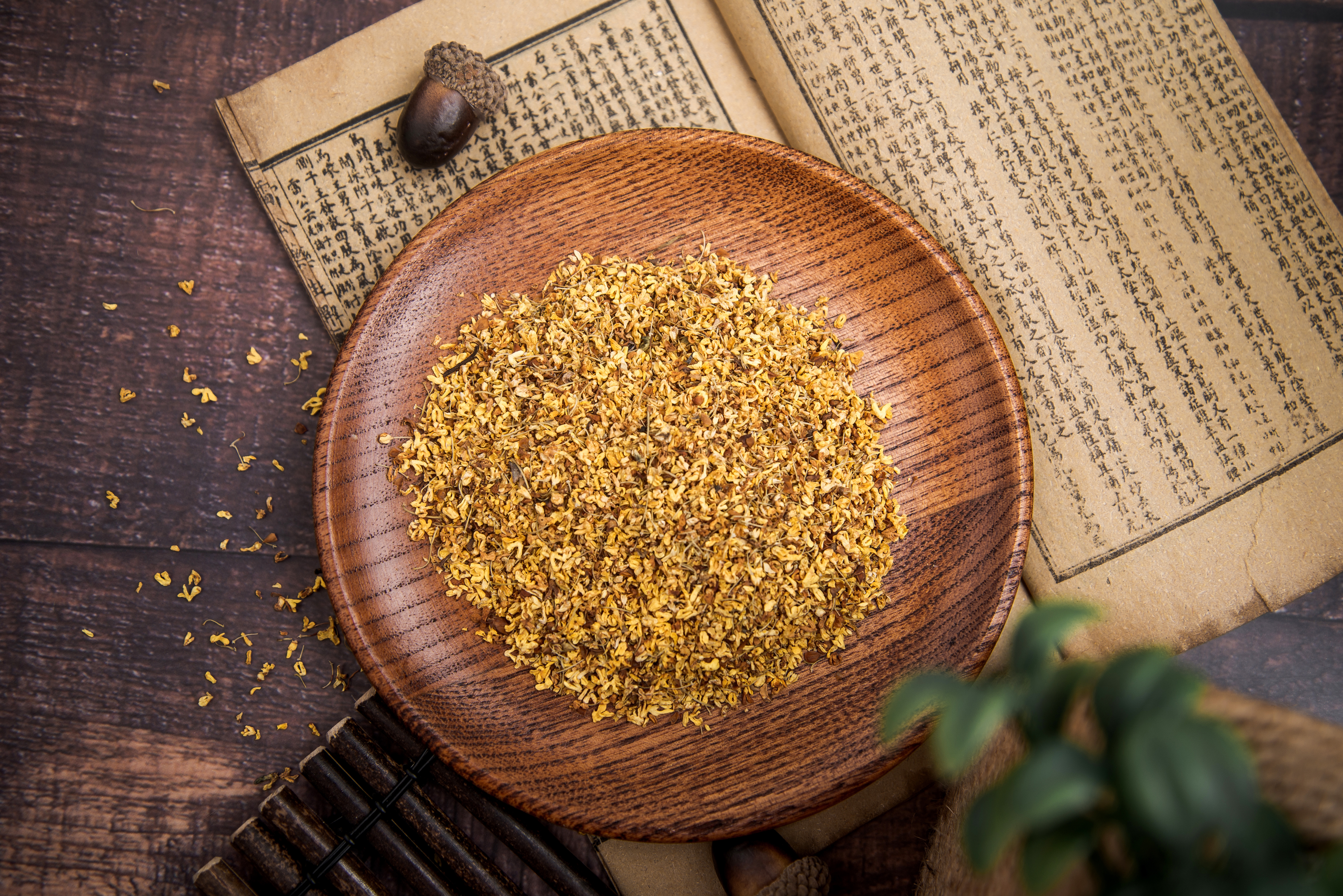 中药书上的金桂花