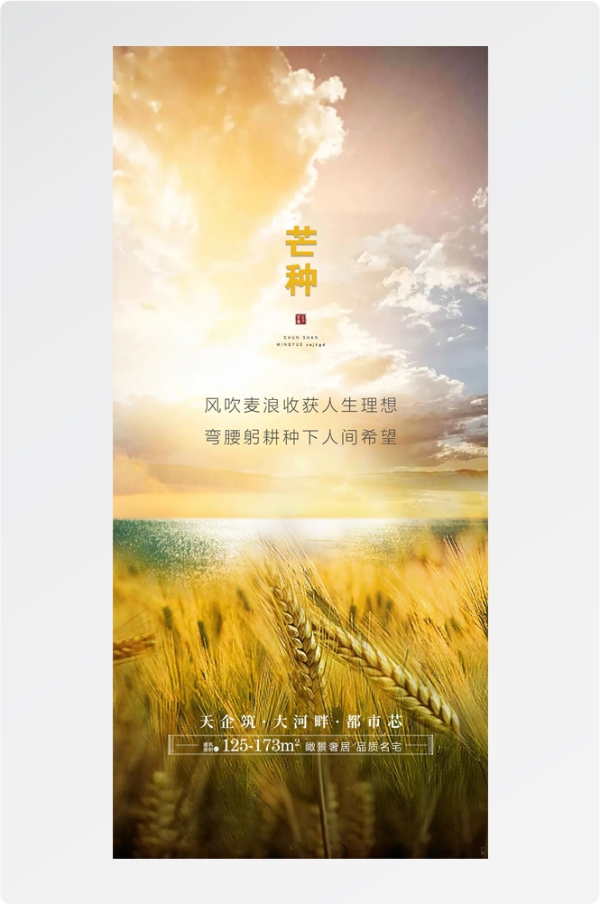 二十四24节气芒种小麦风景海报 (5)