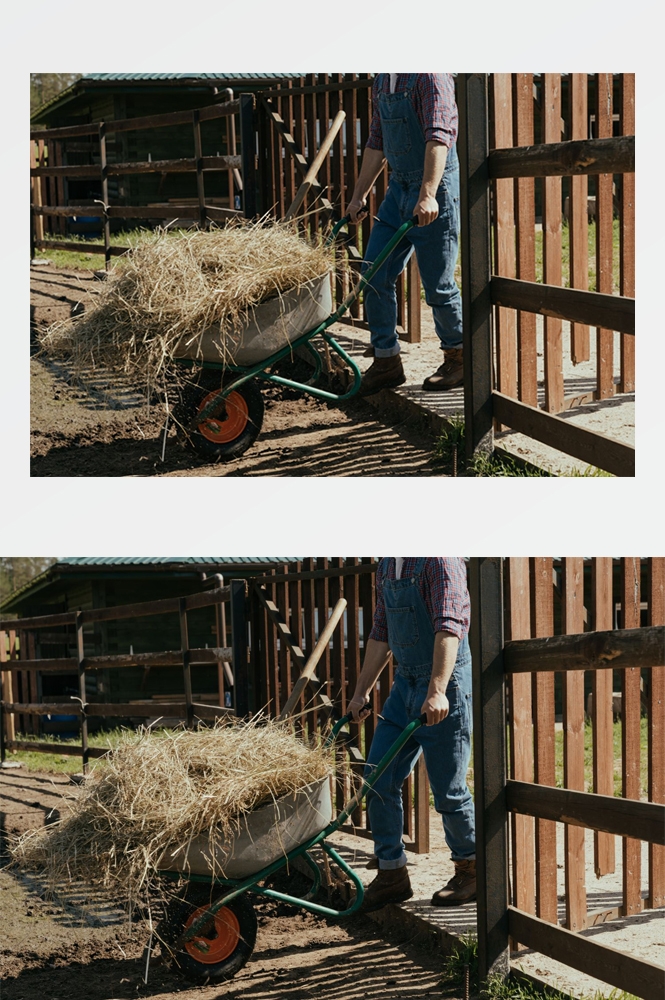 农业生产插秧收割农活高清图片 (190)