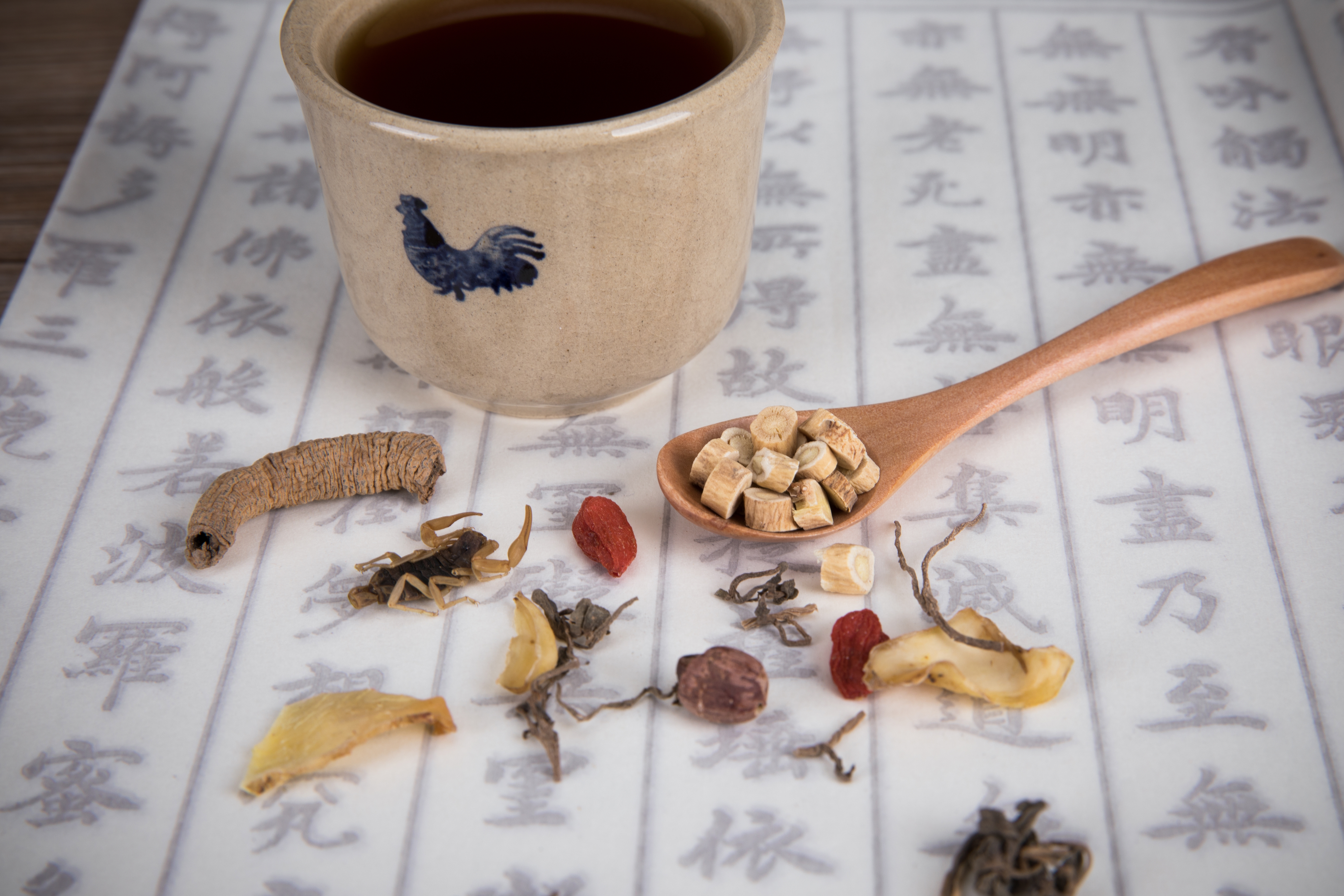 中药中草药 (1)
