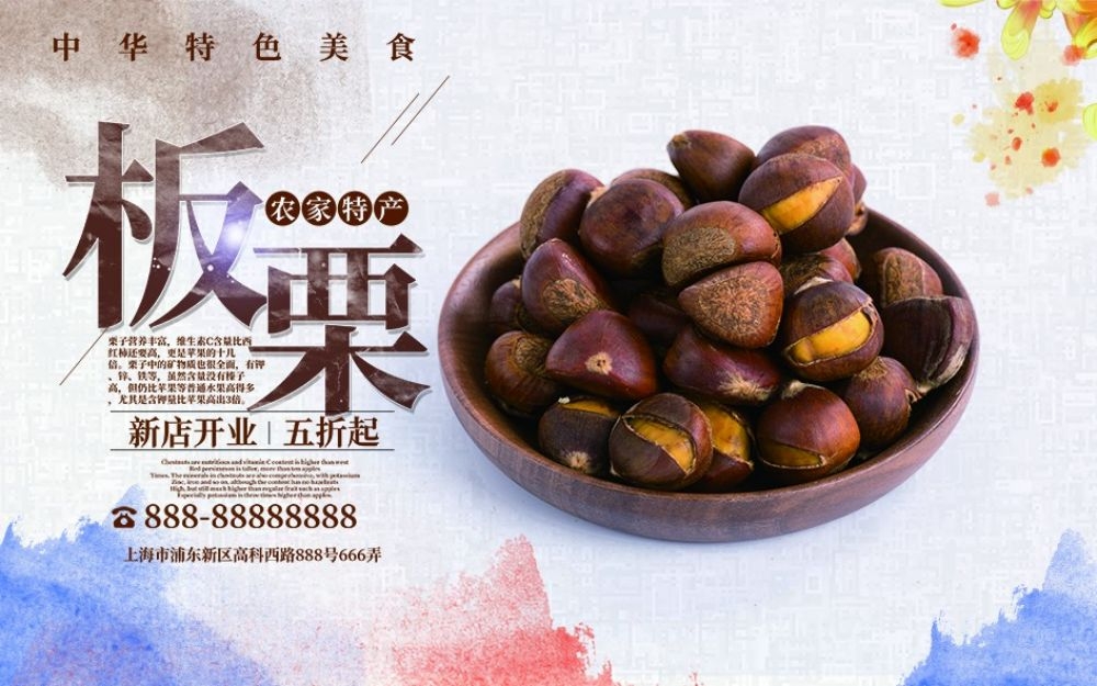 干果坚果糖炒板栗板栗促销宣传广告设计海报模板素材 (16)