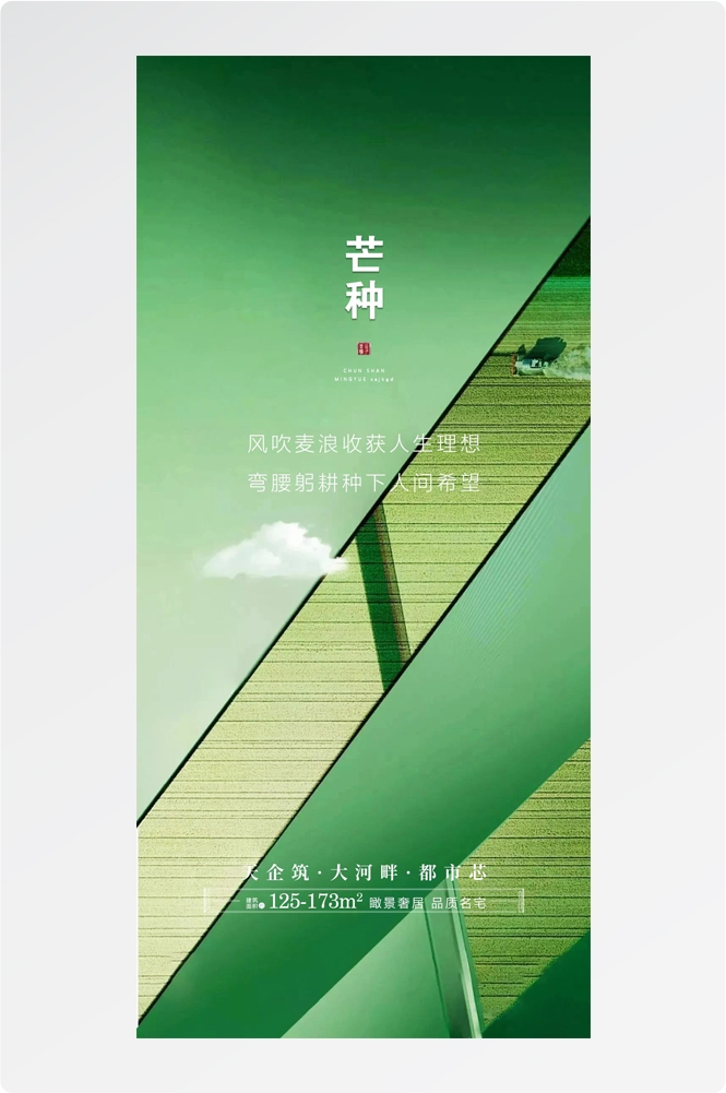 二十四24节气芒种小麦风景海报 (27)