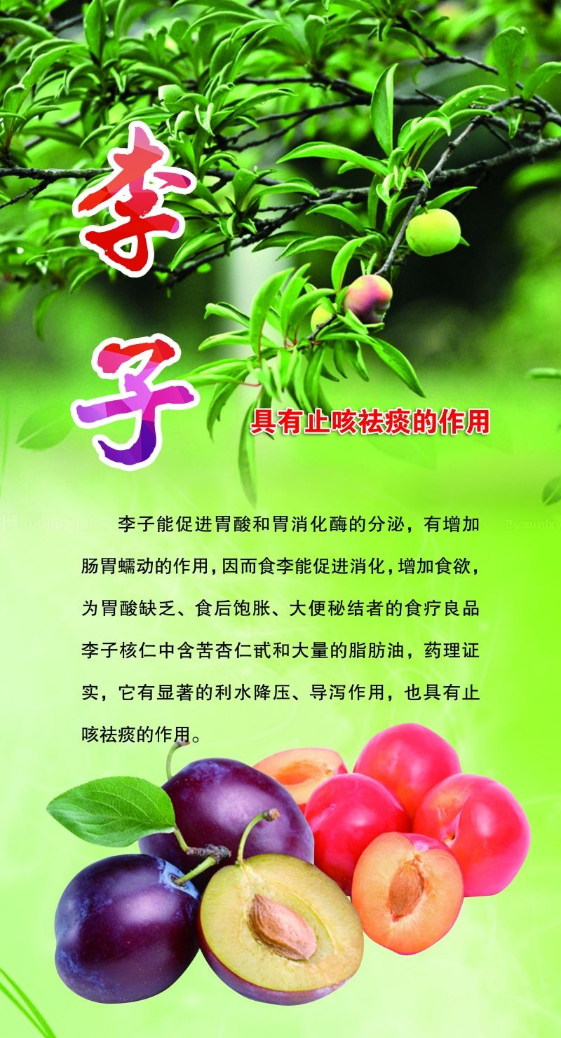 新鲜李子海报展板背景促销宣传素材 (2)