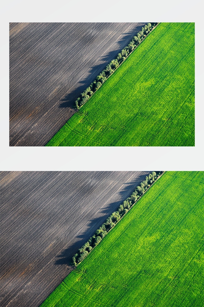 农田耕田田野高清图片11