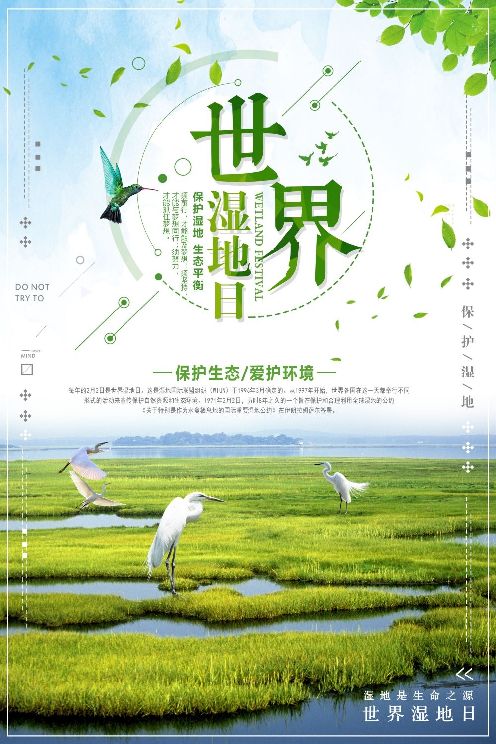 湿地日保护湿地环保促销宣传单广告设计素材