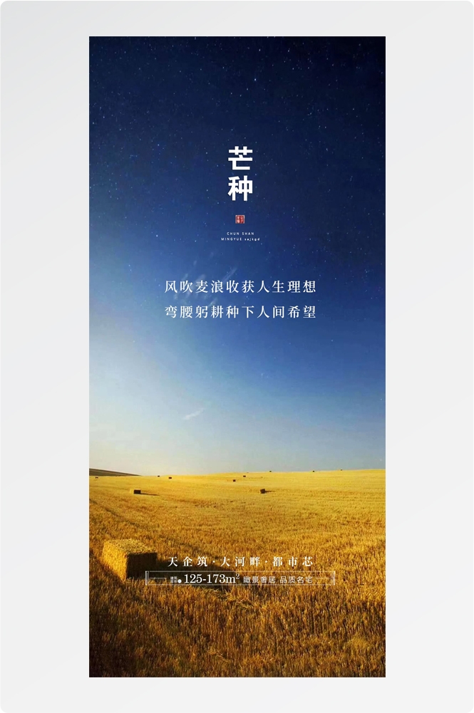 二十四24节气芒种小麦风景海报 (11)