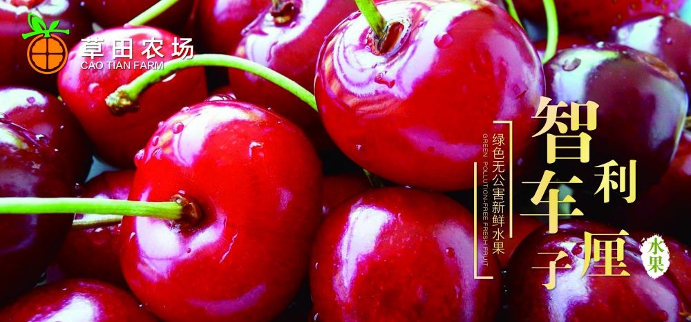 车厘子新鲜果蔬水果促销海报展板 (6)