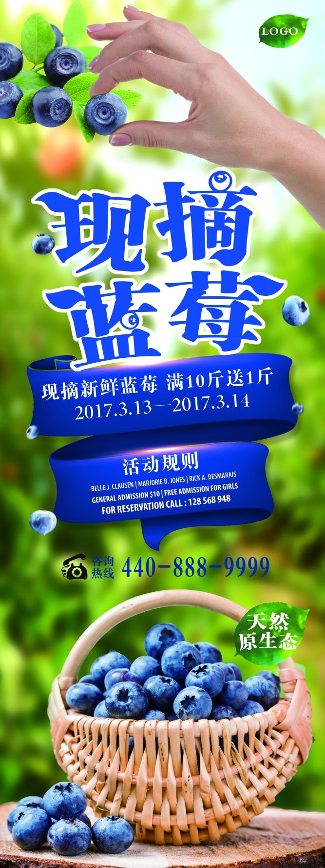 水果蔬菜饮料海报展架易拉宝设计素材 (42)