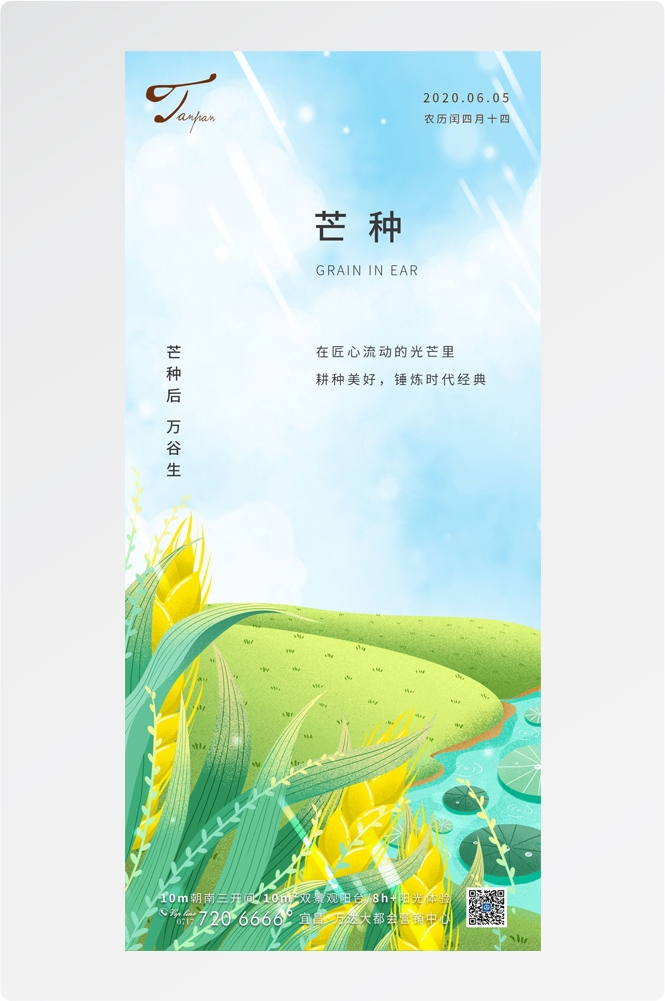 二十四24节气小麦芒种海报宣传插画 (25)