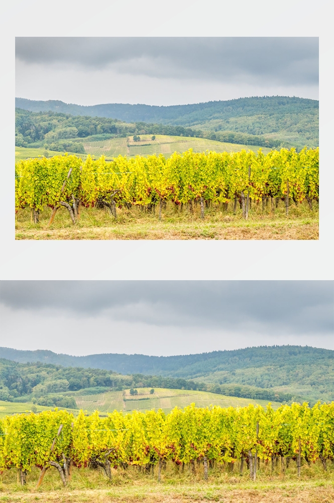 农田耕田田野高清图片21