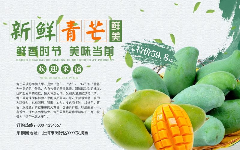 餐饮美食海报背景芒果芒果汁促销宣传单广告设计素材 (13)