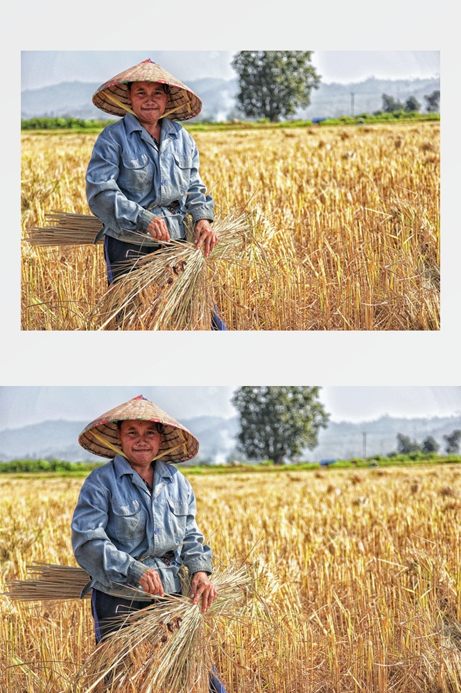 农业生产插秧收割农活高清图片 (201)
