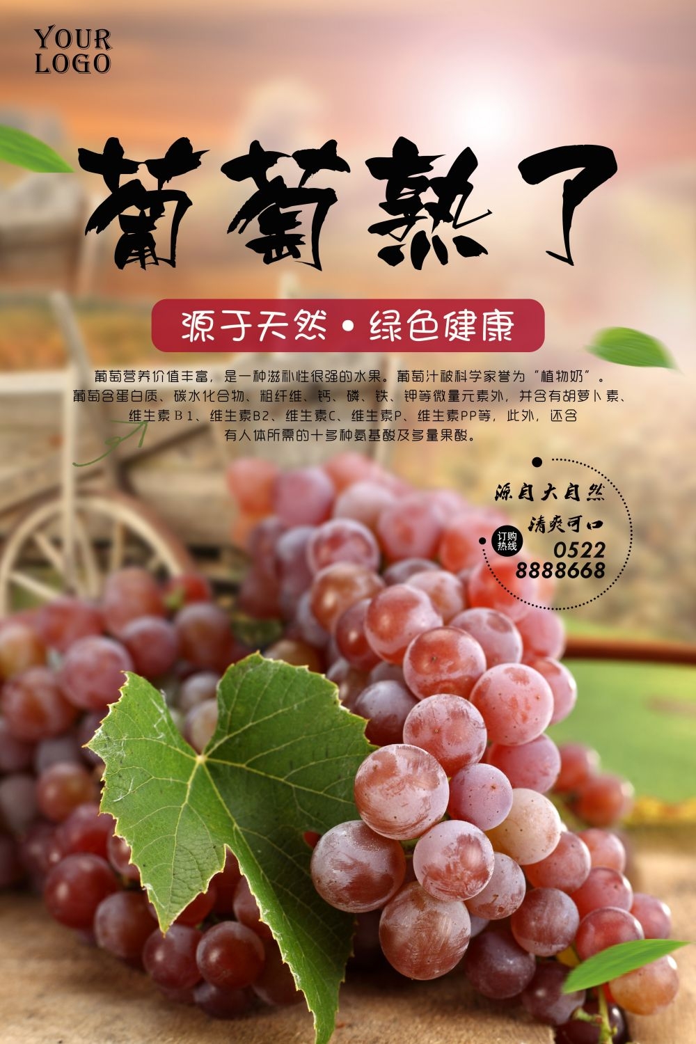 海报背景新鲜葡萄促销宣传单广告设计素材 (34)