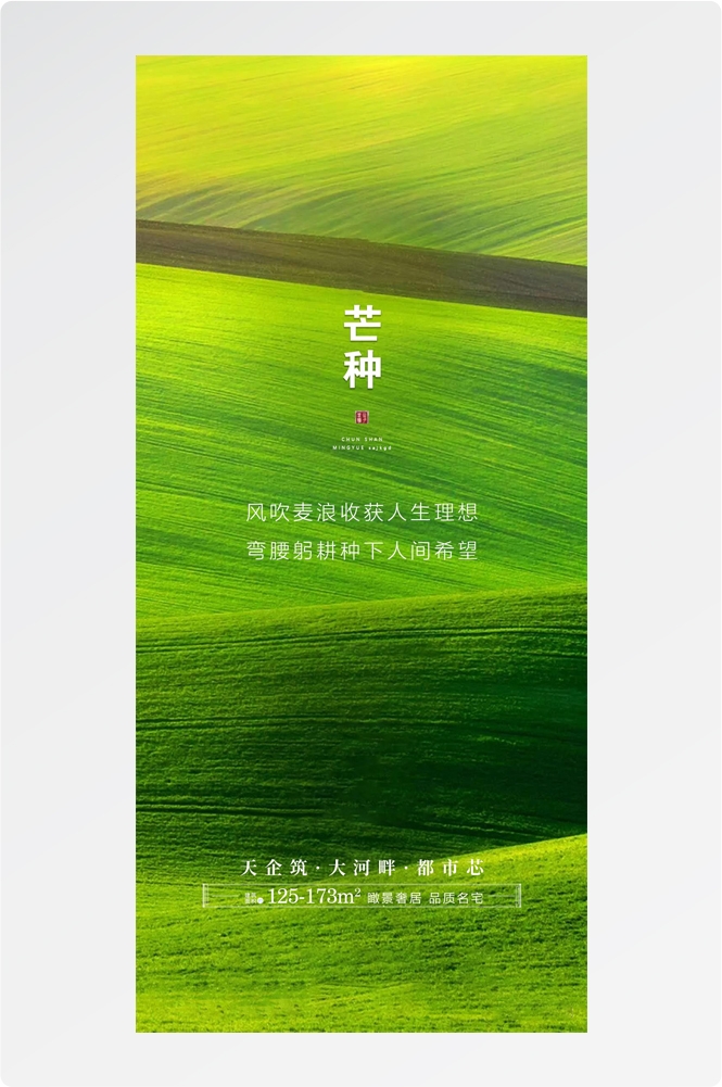 二十四24节气芒种小麦风景海报 (29)